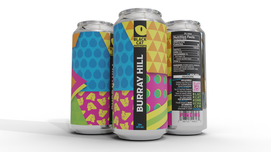 Burray Hill - 12 Pack Kombucha