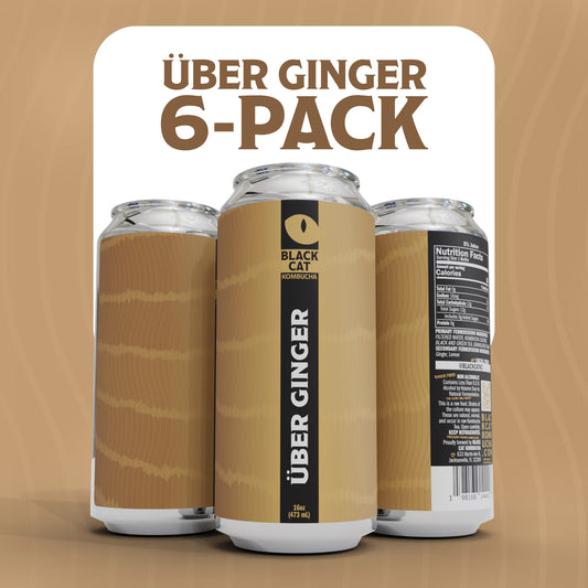 Über Ginger - 6 Pack Kombucha